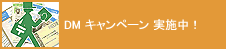 DM�L�����y�[�����{���I