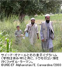 サイード･オマールとその息子イブラハム（学校は休み中）と共に、トウモロコシ畑を行くファザル・ラーマン。