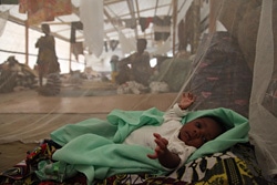 バンギの避難所で配布された蚊帳のなかで横になる赤ちゃん。