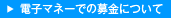 �d�q�}�l�[�ł̕���ɂ��Ă̂�����͂�����