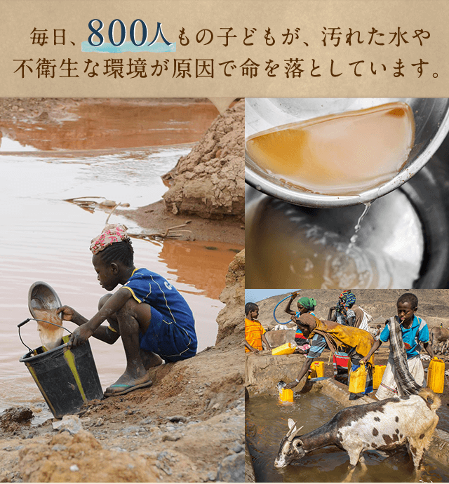 毎日、800人もの子どもが、汚れた水や不衛生な環境が原因で命を落としています。