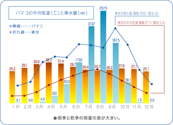 グラフ：バマコの平均気温と降水量