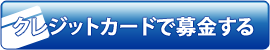 �N���W�b�g�J�[�h����