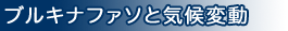 �u���L�i�t�@�\�ƋC��ϓ�