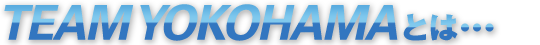 チーム横浜とは