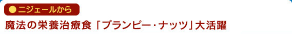 ニジェールから　魔法の栄養治療食「プランピー・ナッツ」大活躍