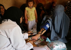 診察をするビビさん