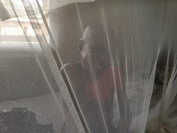 蚊帳越しに笑顔をみせるアリエル