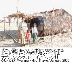 仮の小屋に住んでいる津波で被災した家族エーヤワディー（イラワジ）管区・ピンサル・サブタウンシップ、レー・イン・クウィン村