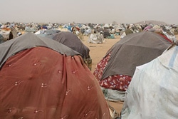 ダフール地方の不安定な情勢で、多くの住民がダフール南部の難民キャンプに安全のため身を寄せている