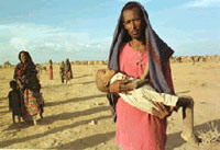 エチオピア･コデにて