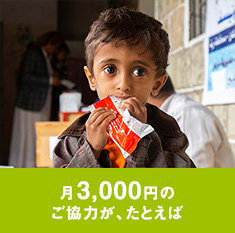 月3,000円のご協力が、たとえば