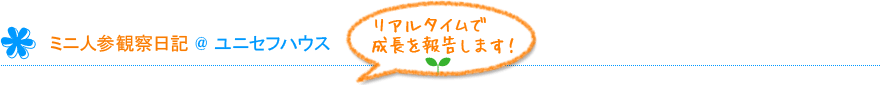 レンゲ観察日記＠ユニセフハウス　リアルタイムですくすく成長中！
