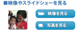映像やスライドショーを見る