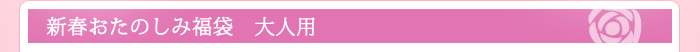新春おたのしみ福袋　大人用