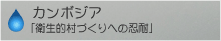 カンボジア　「衛生的村づくりへの忍耐」