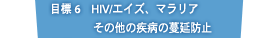 目標 6　HIV/エイズ、マラリアその他の疾病の蔓延防止
