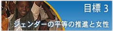 目標 3　ジェンダーの平等の推進と女性の地位向上