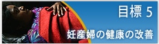 目標 5　妊産婦の健康の改善