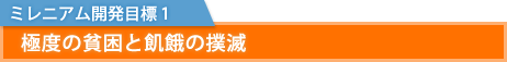 ミレニアム開発目標 1：極度の貧困と飢餓の撲滅