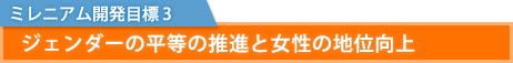 ミレニアム開発目標 3：　ジェンダーの平等の推進と女性の地位向上