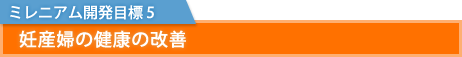 ミレニアム開発目標 5：妊産婦の健康の改善