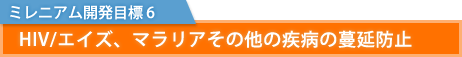 ミレニアム開発目標 6：HIV/エイズ、マラリアその他の疾病の蔓延防止