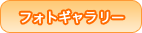 フォトギャラリー