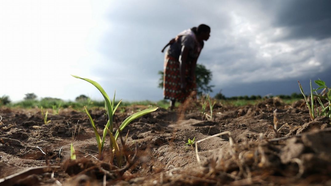 東部 南部アフリカ 飢餓 水不足 病気が深刻化 エルニーニョ現象と長期的な異常気象で