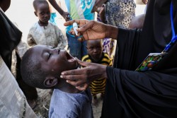 ポリオの予防接種を受ける6歳の男の子。（ナイジェリア・マイドゥグリ）