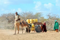 ケニア、ガリッサカウンティで一番近い給水所まで水を汲みに行く家族