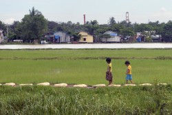 孤児院ツーリズムが盛んなミャンマー・ダラの田んぼを歩く子どもたち。