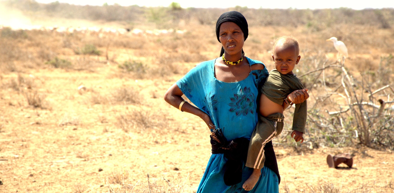 ケニア 干ばつ 深刻な食糧不足と栄養危機 37万人の子どもが急性栄養不良