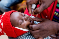 ポリオの予防接種を受ける赤ちゃん。(ザンビア)2016年11月撮影