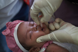 ポリオの予防接種を受ける赤ちゃん（インドネシア）