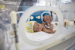 未熟児で生まれ、新生児集中治療室で治療を受けるイエメンの赤ちゃん。(2019年10月撮影)