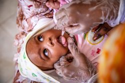 ヌアクショットの保健センターで、経口ポリオワクチンの予防接種を受ける赤ちゃん。(モーリタニア、2020年6月撮影)