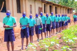 学校給食プログラムの、給食を受け取る列に並ぶ生徒たち。(ウガンダ、2020年10月撮影)