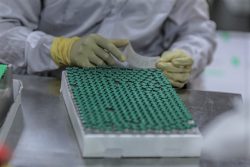 マハラシュトラ州・プネ市で製造されたCOVAXのCOVID-19ワクチン。(インド、2021年2月24日撮影)