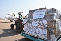 COVAXを通じて、ジュバ国際空港に届いたCOVID-19ワクチン。(南スーダン、2021年3月24日撮影)