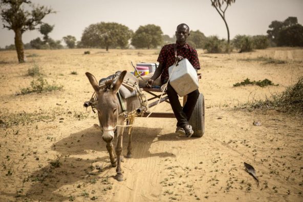 ワクチンを届けるためにロバの荷車に乗って移動するママドゥさん（29歳）。マリのモプティにある村の子どもたちにワクチンを届けている。