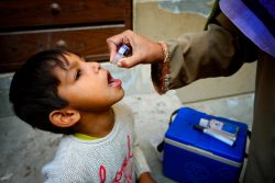 ラホールでポリオの予防接種を受ける5歳の男の子。(パキスタン、2021年1月撮影)