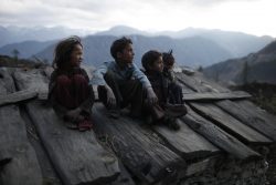 子どもの権利とビジネス