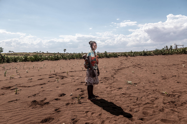 干ばつの被害を受け枯れてしまったトウモロコシ畑で、子どもを背負って立つ母親。(マダガスカル、2021年1月撮影)
