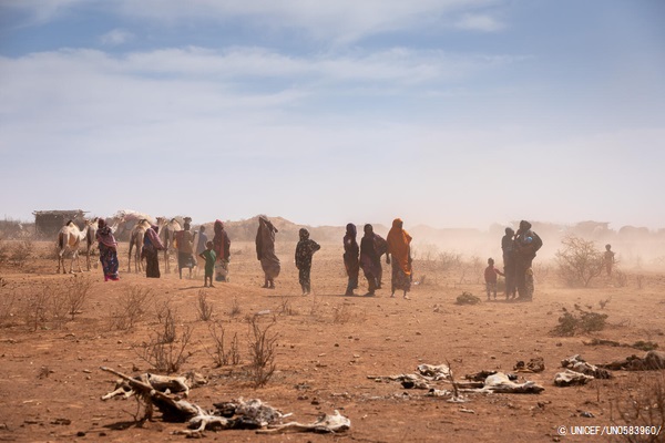 深刻な干ばつの被害を受けているソマリ地域の村で、家畜の死骸がある枯れた道を歩く人たち。(エチオピア、2022年1月21日撮影)