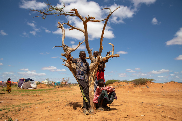 ソマリ州の干ばつの様子。多くの家族がゴデ近くの国内避難民キャンプに逃れている。(エチオピア、2022年5月撮影)
