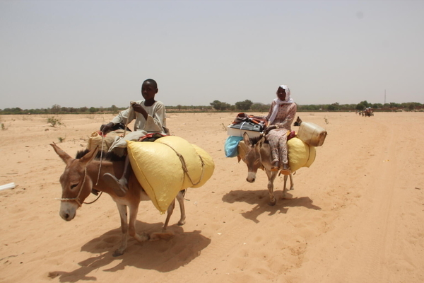ロバに乗り、荷物を持って避難するスーダン難民。(チャド、2023年4月27日撮影)