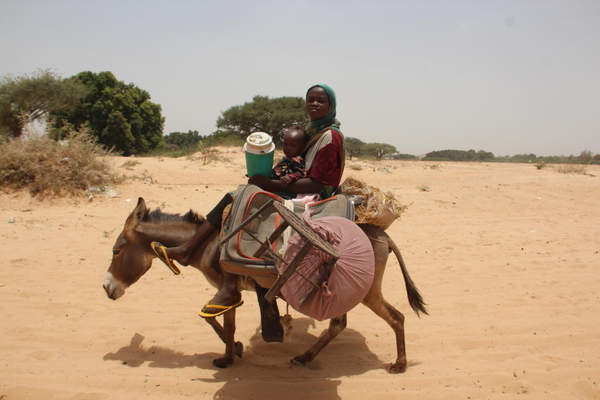 ロバに乗り、荷物を持ってチャドに逃れてきたスーダン難民。(チャド、2023年4月27日撮影)
