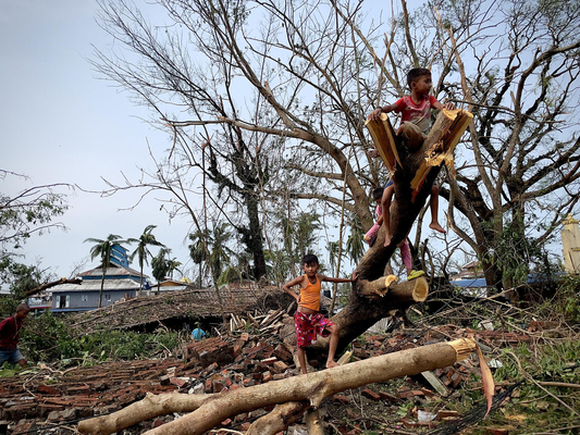 ラカイン州で、サイクロンの影響により倒壊した木に登る子どもたち。(ミャンマー、2023年5月15日撮影)