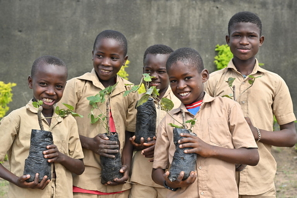 学校で木の苗を植える子どもたち。(コトジボワール、2023年11月20日撮影)